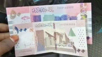 سعر الدولار أمام الجنيه السوداني يستقر عند 448.73 جنيه في التداولات الصباحية لبنك السودان المركزي 1